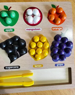Clasificador de cuentas frutales — foto 6