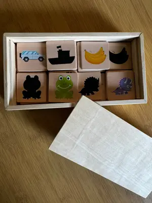 Parejas de sombras 4 categorías. (Dinosaurio, transportes, frutas y animales). — foto 2