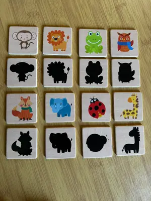 Parejas de sombras 4 categorías. (Dinosaurio, transportes, frutas y animales). — foto 6