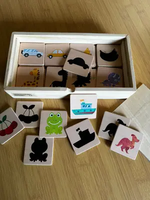 Parejas de sombras 4 categorías. (Dinosaurio, transportes, frutas y animales). — foto 7